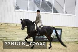 22BUCK_02099 proof