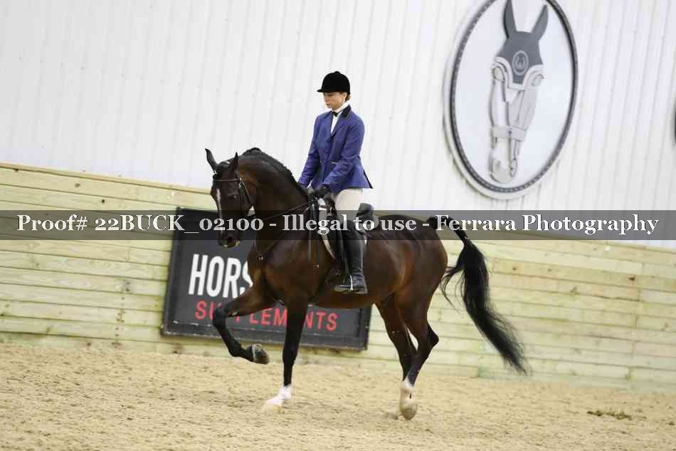 Proof 22BUCK_02100