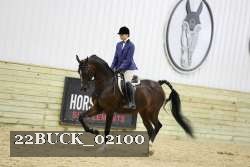 22BUCK_02100 proof