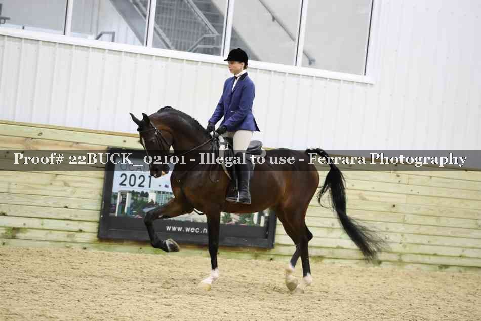 Proof 22BUCK_02101
