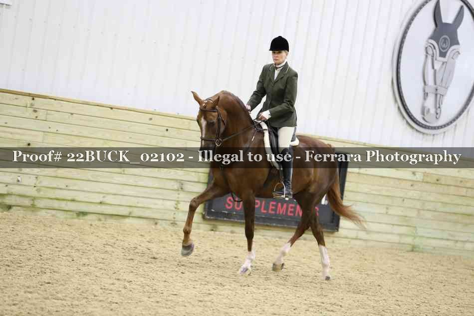 Proof 22BUCK_02102
