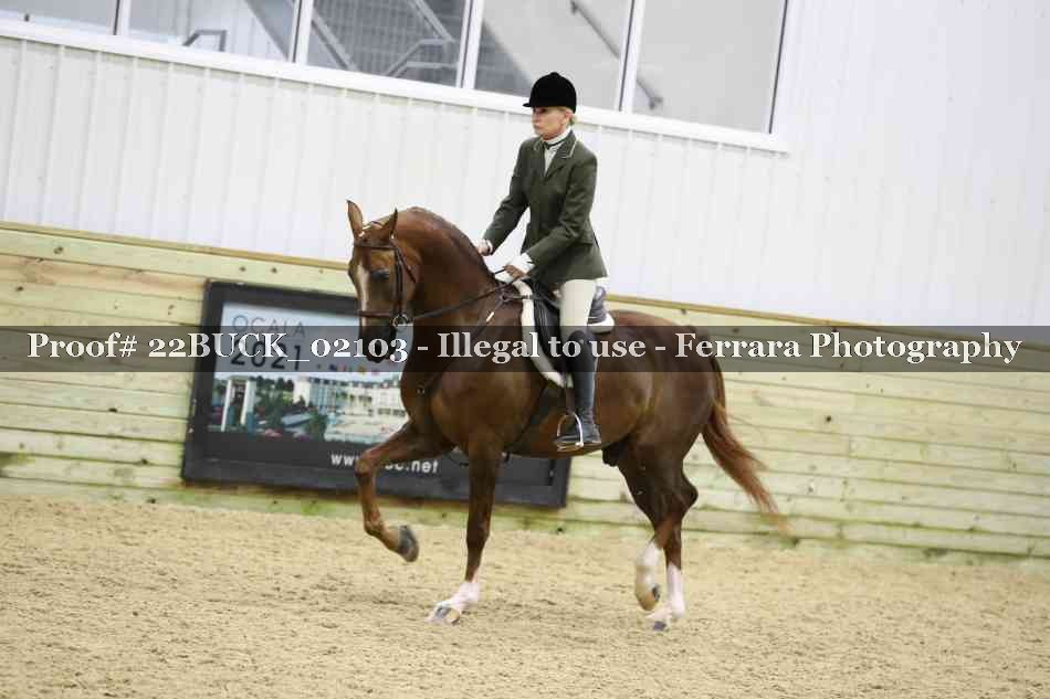 Proof 22BUCK_02103