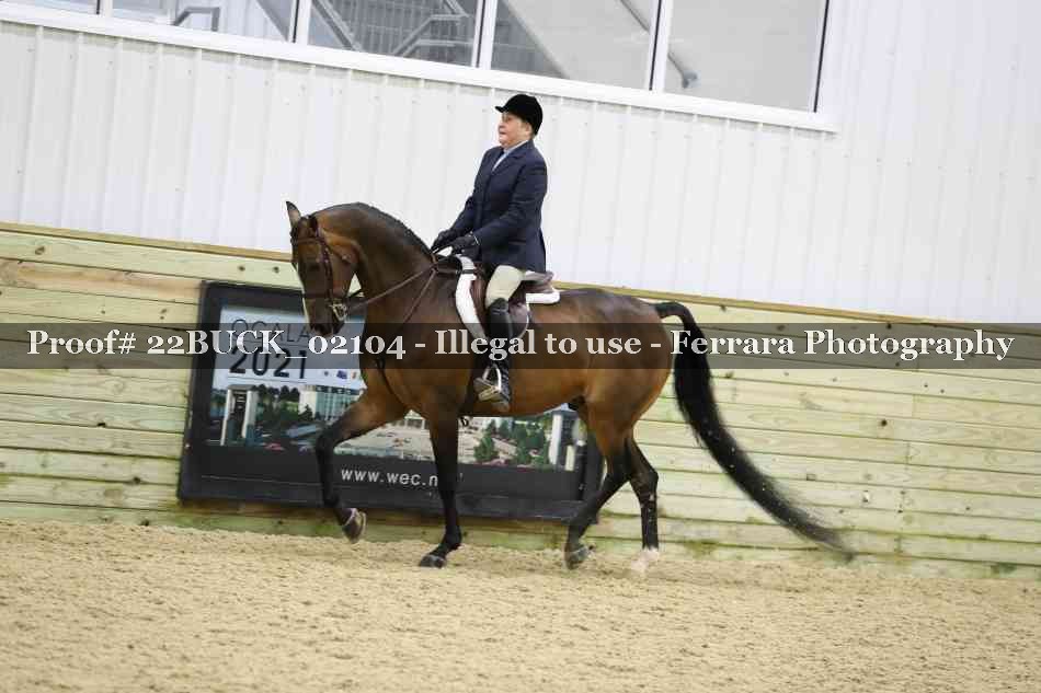 Proof 22BUCK_02104