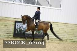 22BUCK_02104 proof