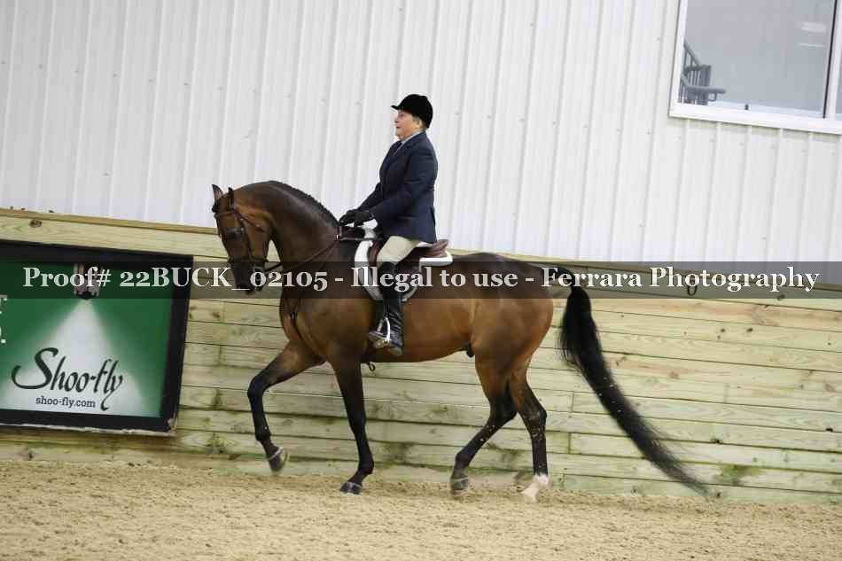 Proof 22BUCK_02105