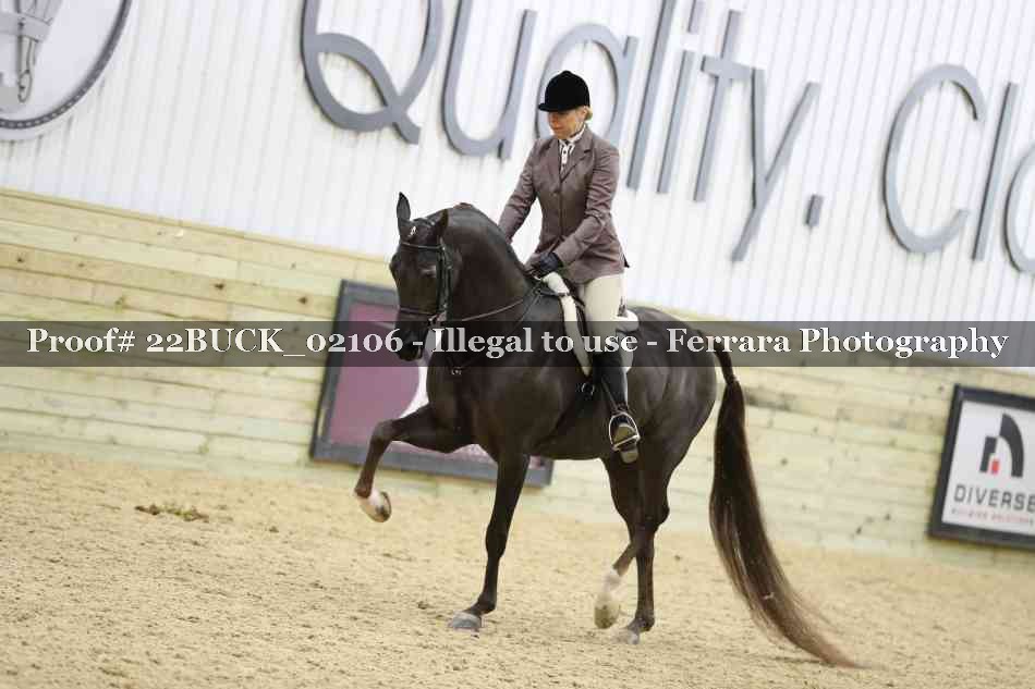 Proof 22BUCK_02106