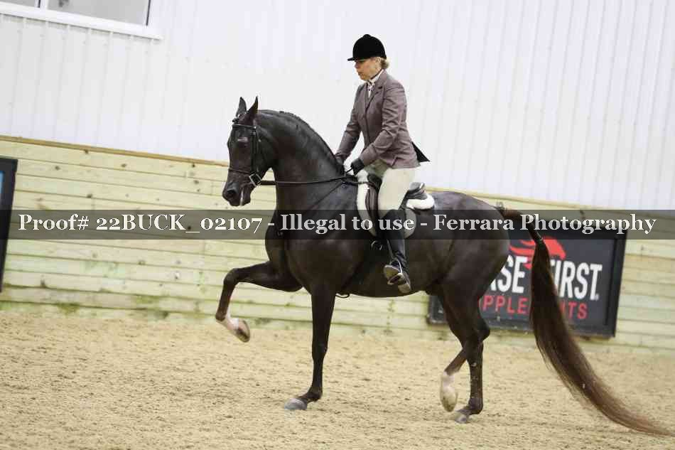 Proof 22BUCK_02107