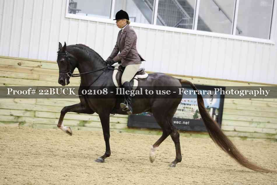 Proof 22BUCK_02108