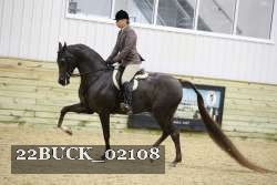 22BUCK_02108 proof