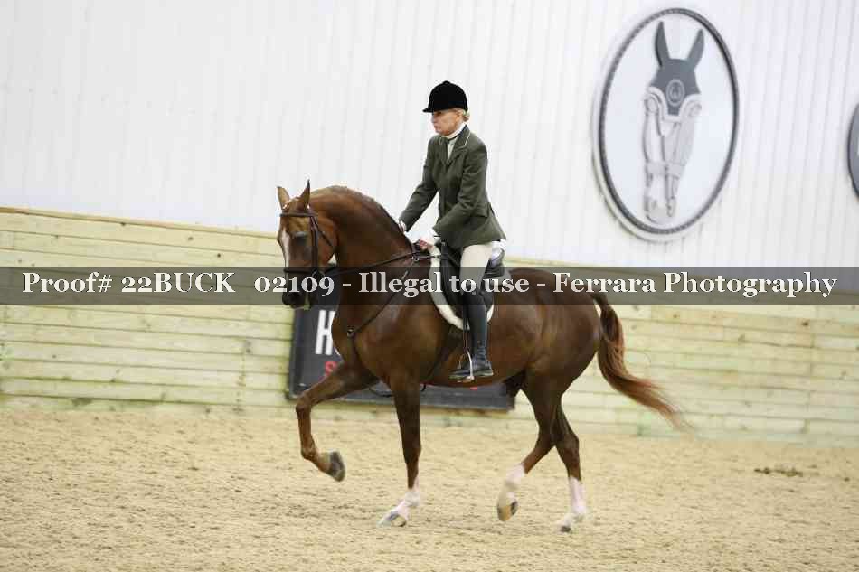 Proof 22BUCK_02109