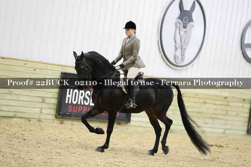 Proof 22BUCK_02110