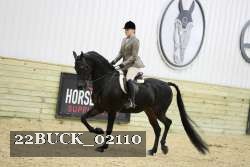 22BUCK_02110 proof