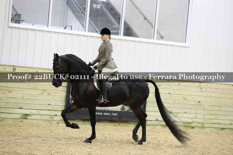 Proof 22BUCK_02111