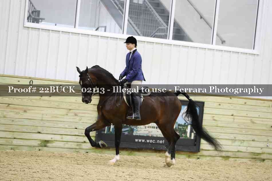 Proof 22BUCK_02113