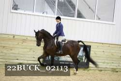 22BUCK_02113 proof