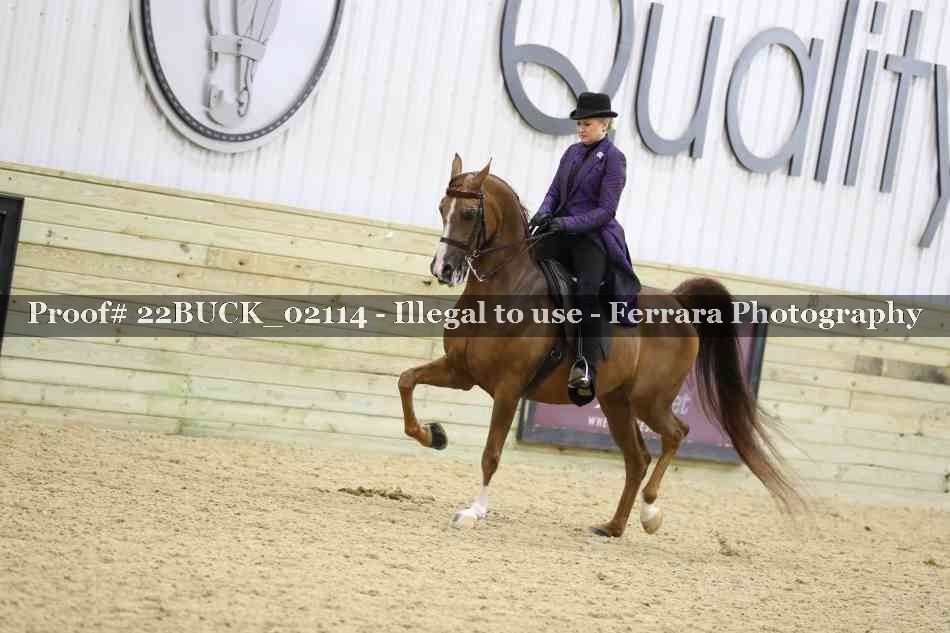 Proof 22BUCK_02114