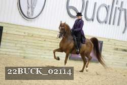 22BUCK_02114 proof
