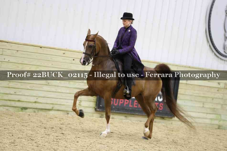 Proof 22BUCK_02115