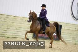 22BUCK_02115 proof