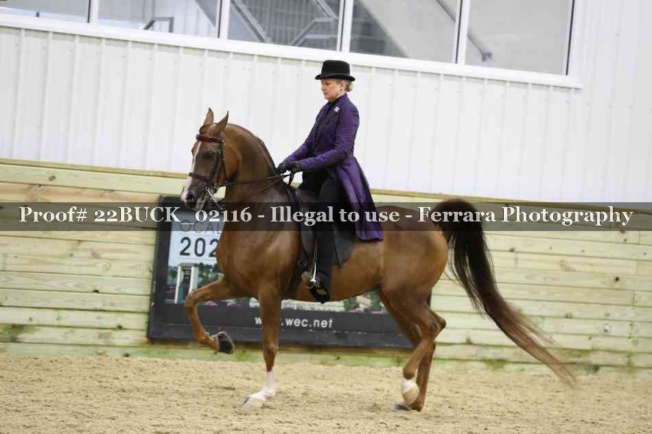 Proof 22BUCK_02116