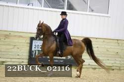 22BUCK_02116 proof