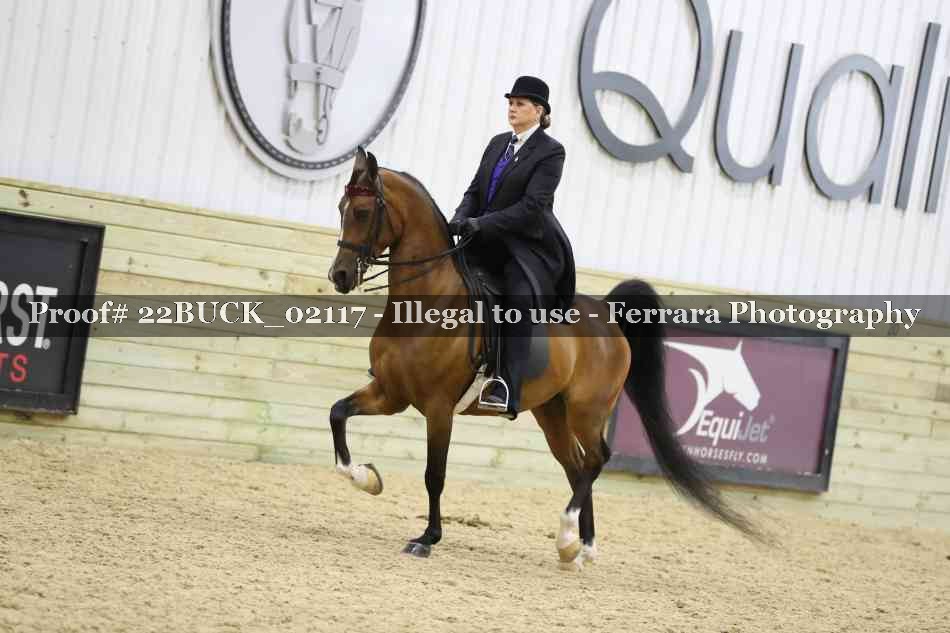 Proof 22BUCK_02117