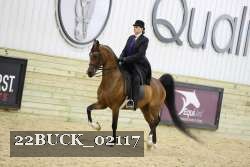 22BUCK_02117 proof