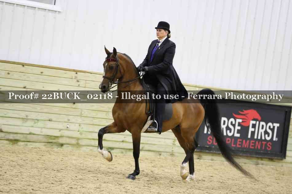 Proof 22BUCK_02118