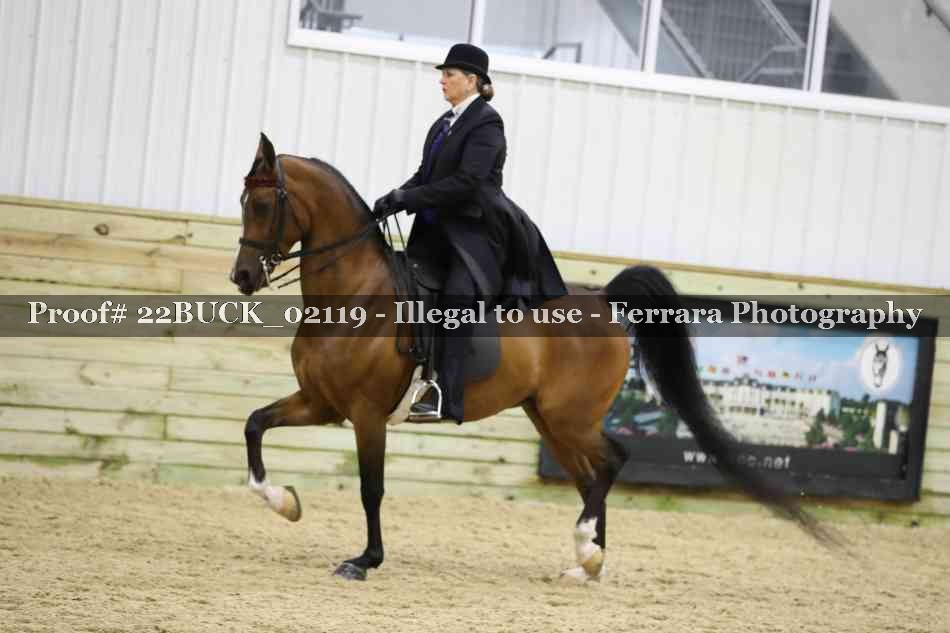 Proof 22BUCK_02119
