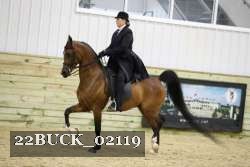 22BUCK_02119 proof