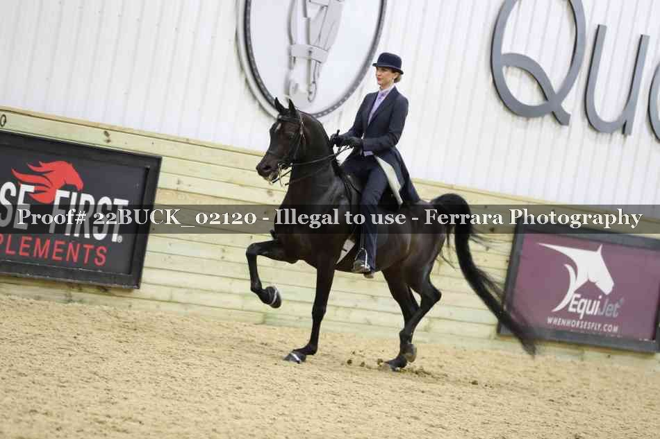 Proof 22BUCK_02120