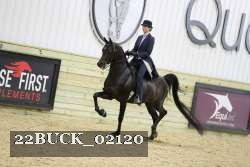 22BUCK_02120 proof