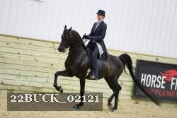 22BUCK_02121 proof