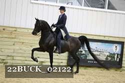22BUCK_02122 proof