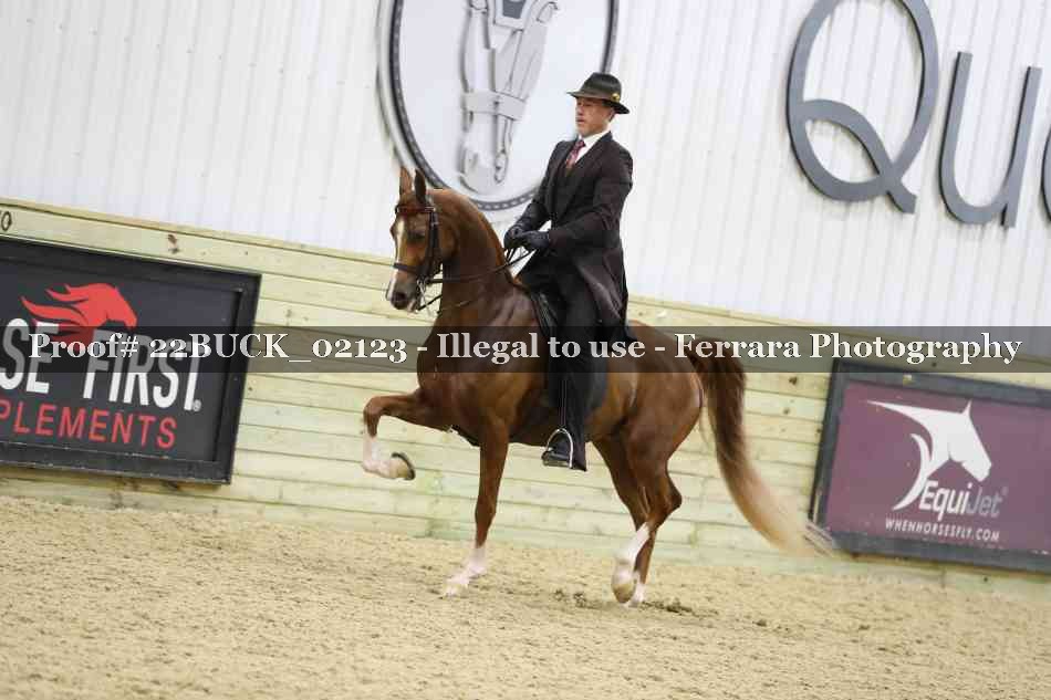 Proof 22BUCK_02123