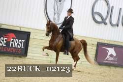 22BUCK_02123 proof