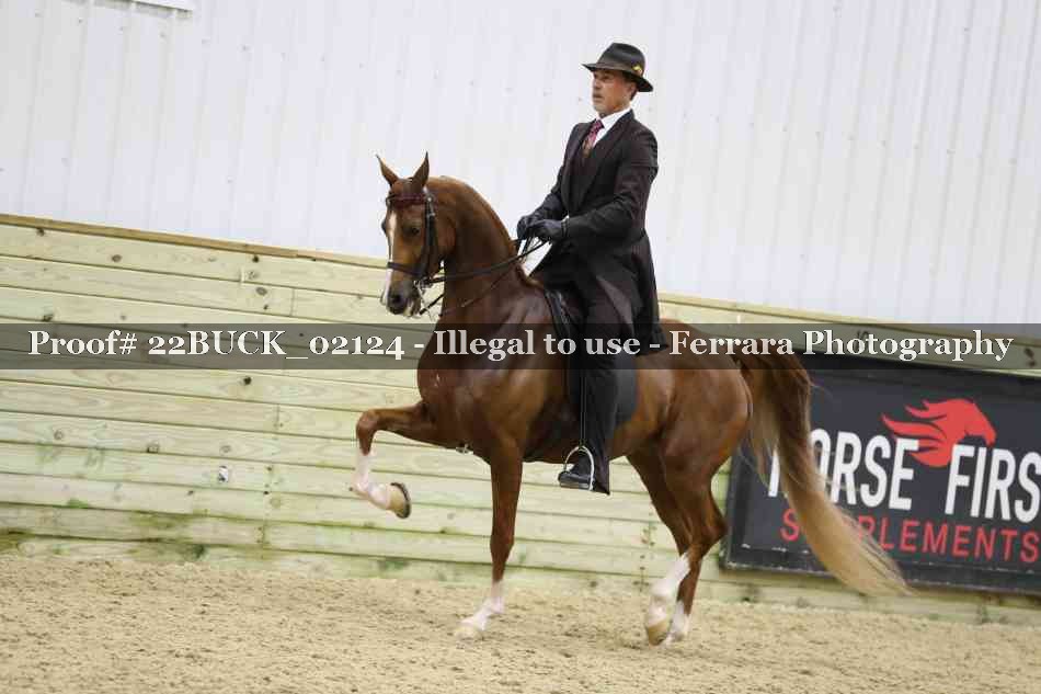 Proof 22BUCK_02124