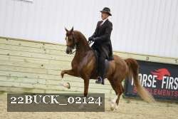 22BUCK_02124 proof