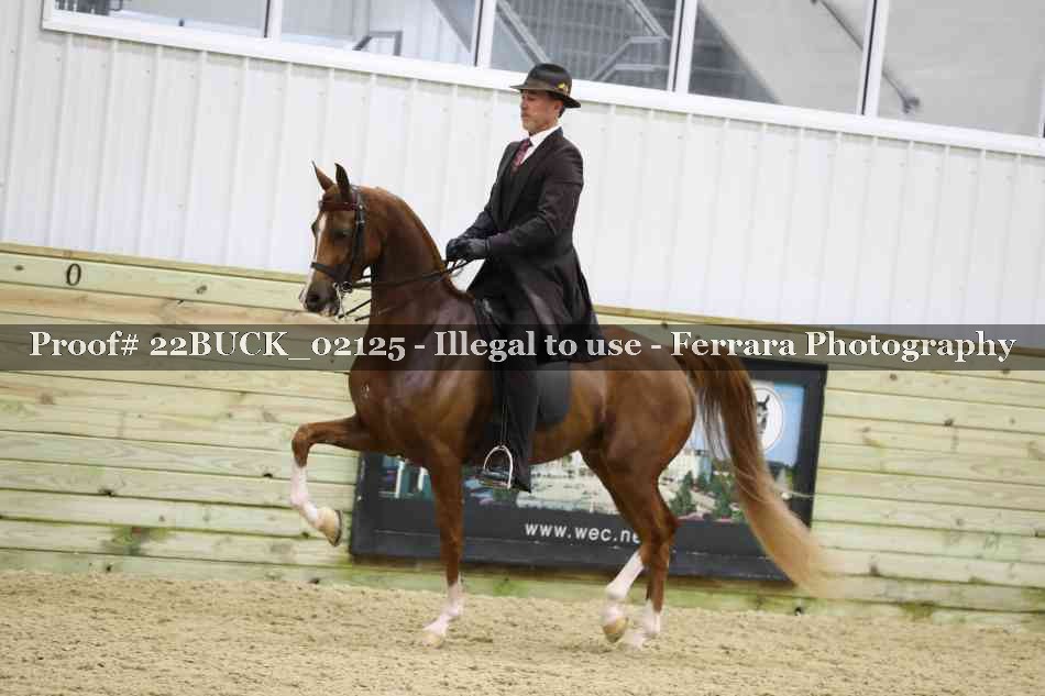 Proof 22BUCK_02125