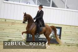 22BUCK_02125 proof