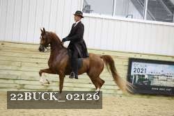 22BUCK_02126 proof