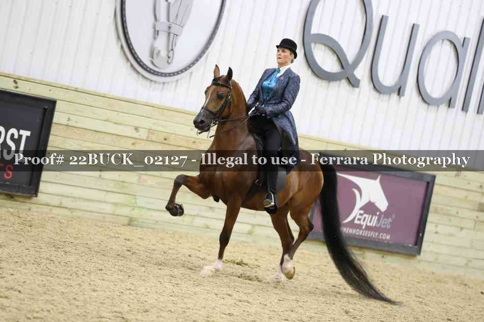 Proof 22BUCK_02127