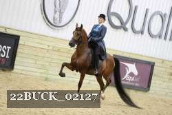 22BUCK_02127 proof