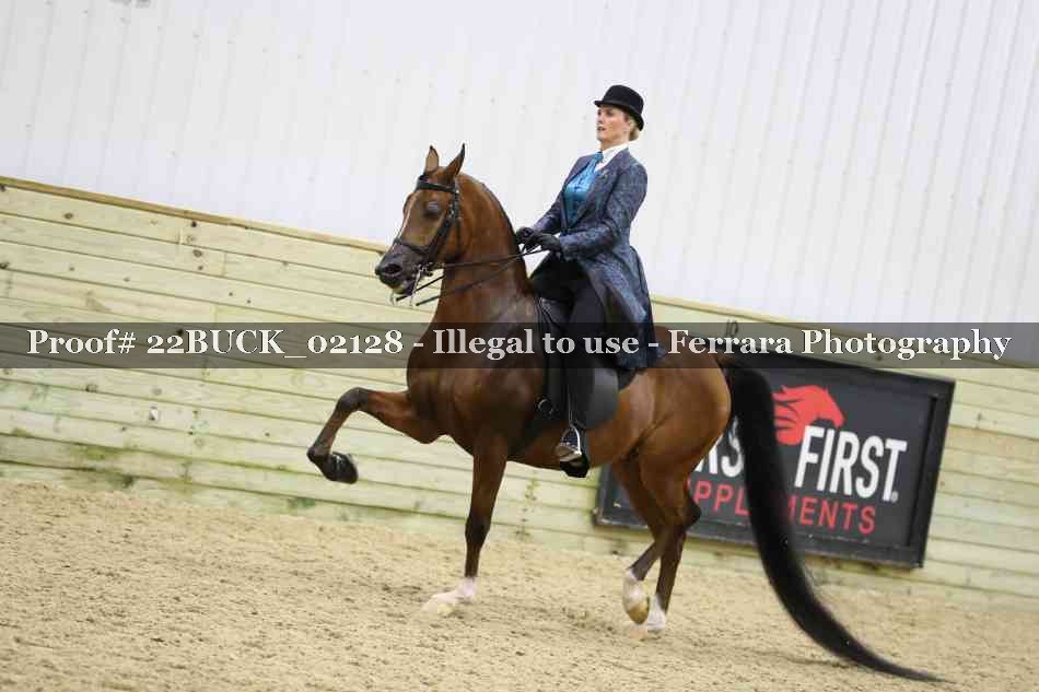 Proof 22BUCK_02128