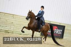 22BUCK_02128 proof