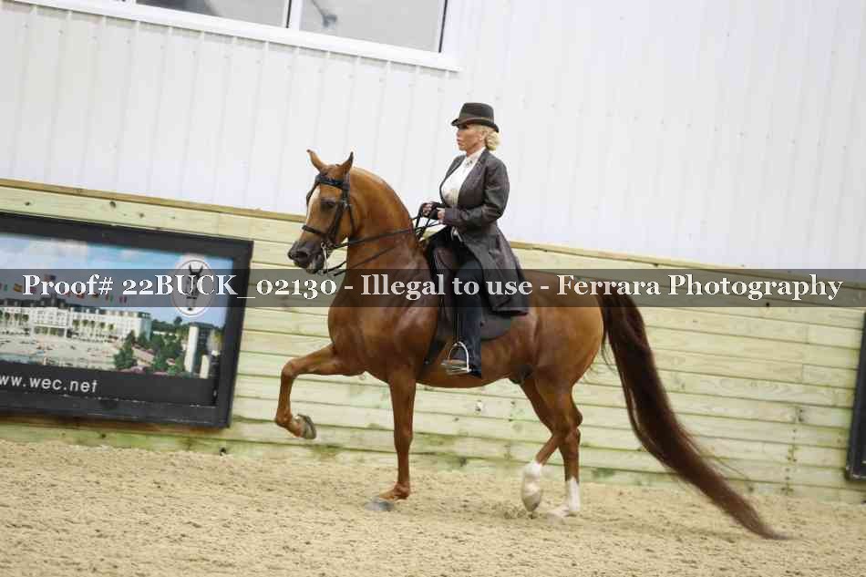 Proof 22BUCK_02130