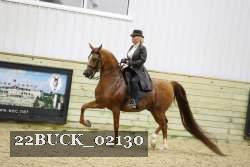 22BUCK_02130 proof