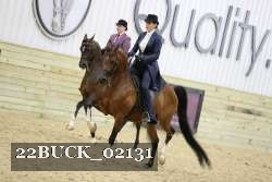 22BUCK_02131 proof