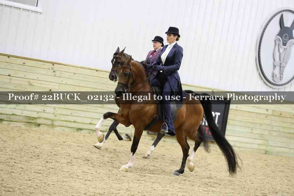 Proof 22BUCK_02132