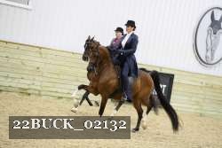 22BUCK_02132 proof